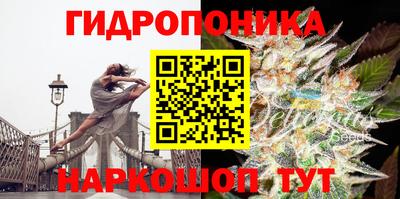 ALPHA-PVP Гай